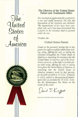 United States Patent No. 7,921,863